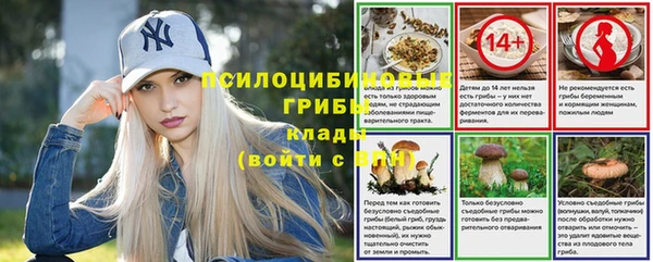 эйфоретик Богородицк